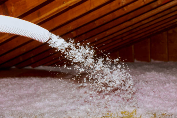 Best Specialized Insulation Services in Marceline, MO