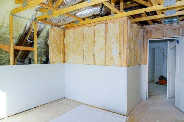 Best Commercial Insulation in Marceline, MO