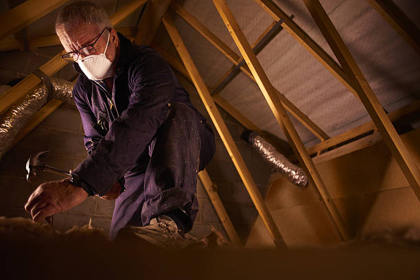 Best Spray Foam Insulation in Marceline, MO