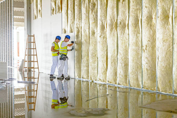 Best Geographic-Specific Insulation Services in Marceline, MO